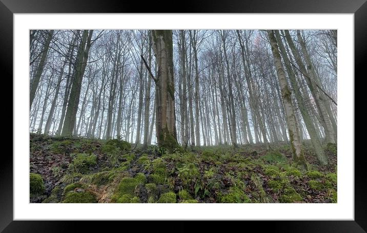 Trees in the fog Framed Mounted Print by Jonathan Thirkell