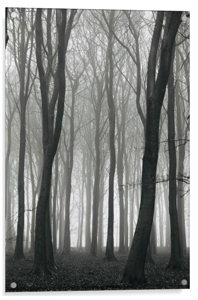 Misty woodland Acrylic by Simon Johnson
