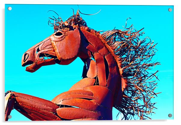 Stallion 2 Acrylic by Tony Mumolo