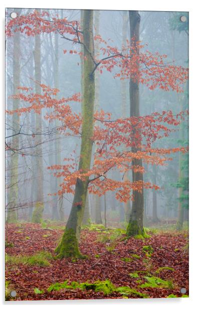 autumn leaves and mist Acrylic by Simon Johnson