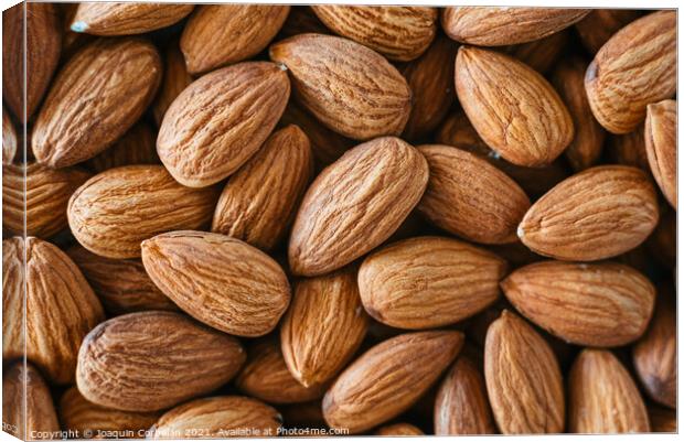 Close detail of a pile of raw almonds nuts with peel Canvas Print by Joaquin Corbalan