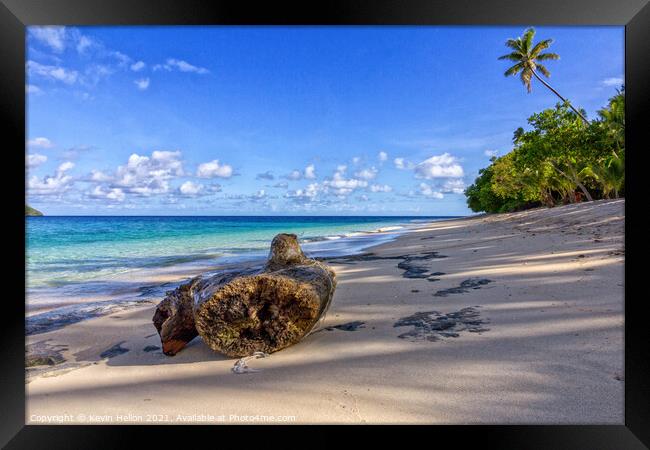 Log on beach, Dravuni Island, Fiji, South Pacific Framed Print by Kevin Hellon