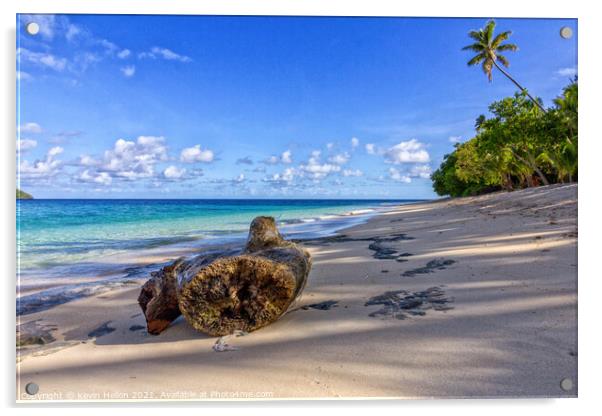 Log on beach, Dravuni Island, Fiji, South Pacific Acrylic by Kevin Hellon