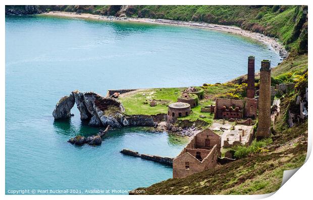 Porth Wen Brickworks Anglesey Wales Print by Pearl Bucknall