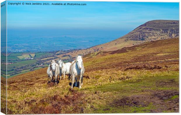 White Horses on Mynydd Llangorse Brecon Beacons Canvas Print by Nick Jenkins