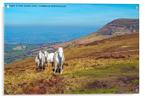 White Horses on Mynydd Llangorse Brecon Beacons Acrylic by Nick Jenkins