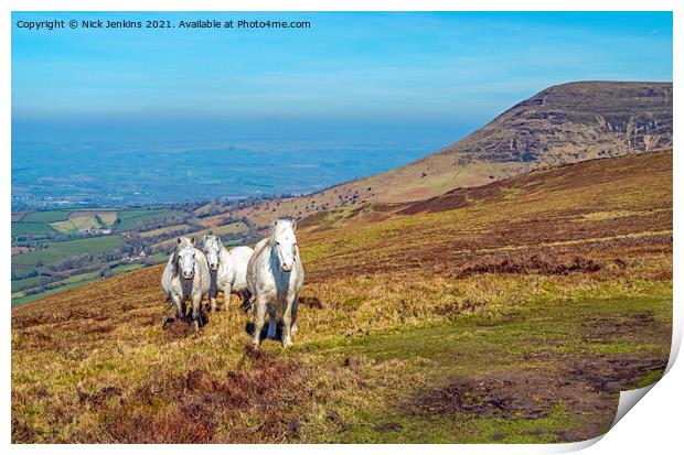 White Horses on Mynydd Llangorse Brecon Beacons Print by Nick Jenkins