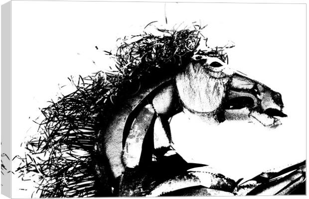 Ebony Stallion Canvas Print by Tony Mumolo