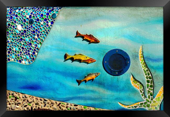 Fish Framed Print by Tony Mumolo