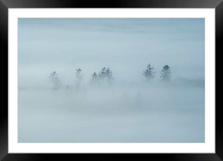 Trees in Clouds Framed Mounted Print by Jonny Gios
