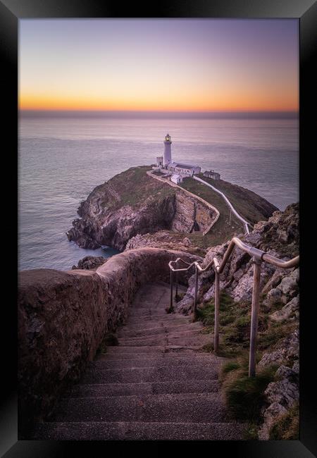 Stairway To Southstack Lighthouse Framed Print by Liam Neon