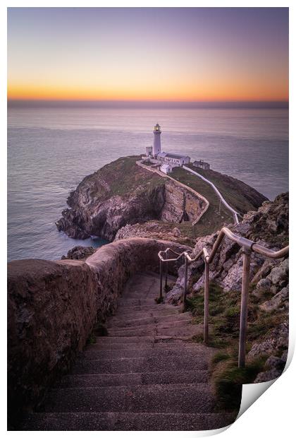 Stairway To Southstack Lighthouse Print by Liam Neon