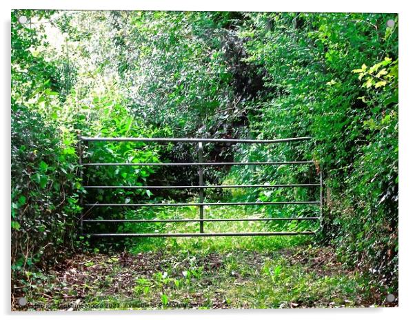 Metal Gate Acrylic by Stephanie Moore