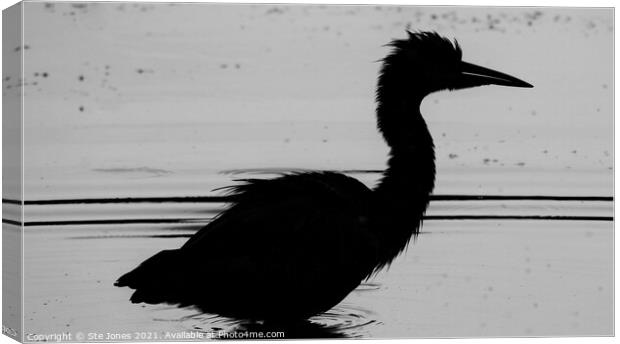 A Natural Silhouette Of A Grey Heron Canvas Print by Ste Jones