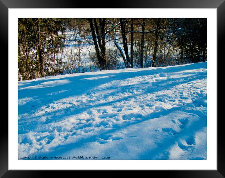 Strathcona Park, Ottawa, ON - taken today Framed Mounted Print by Stephanie Moore