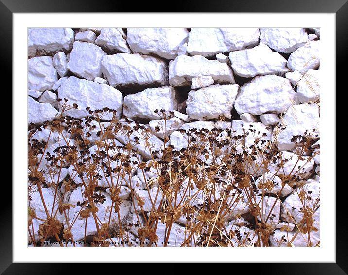 White wall, Greek Island Framed Mounted Print by DEE- Diana Cosford