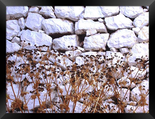 White wall, Greek Island Framed Print by DEE- Diana Cosford