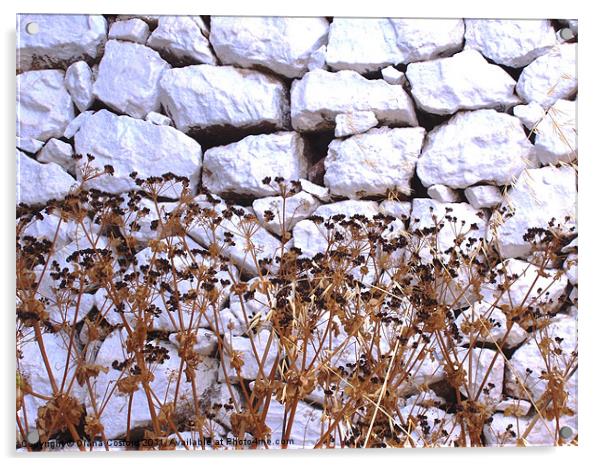 White wall, Greek Island Acrylic by DEE- Diana Cosford