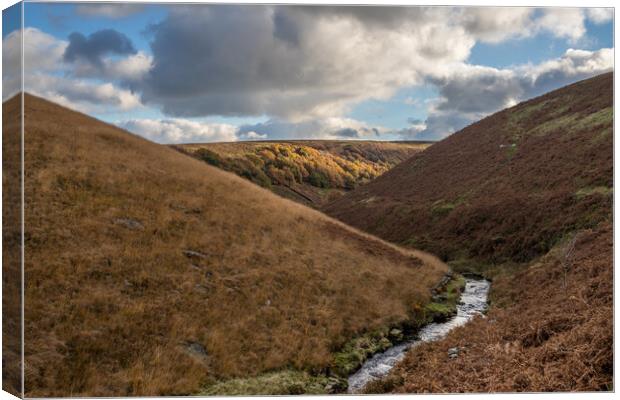 River Dane weaving round the bending valley Canvas Print by Jason Wells