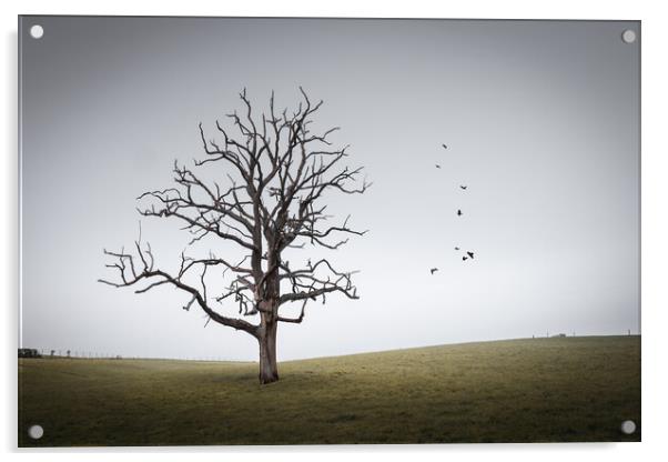 Tree in a Sussex Field, Winter Acrylic by Mark Jones