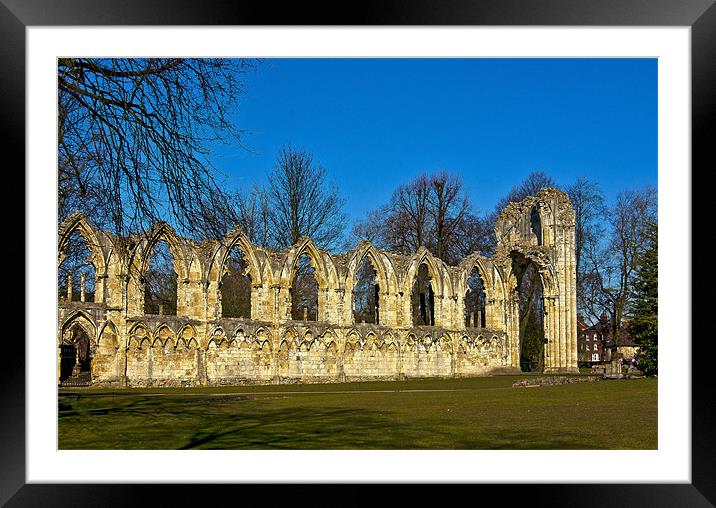 Ruins of St Mary's Abbey - York Framed Mounted Print by Trevor Kersley RIP