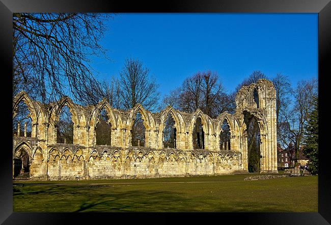 Ruins of St Mary's Abbey - York Framed Print by Trevor Kersley RIP