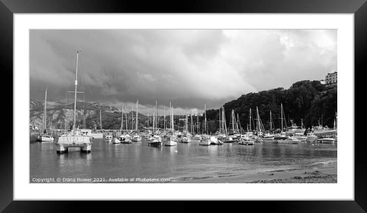 Ilfracombe harbour Panoramic mono Framed Mounted Print by Diana Mower
