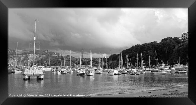 Ilfracombe harbour Panoramic mono Framed Print by Diana Mower