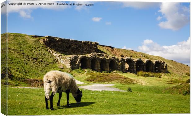 Sheep Grazing Rosedale Yorkshire Moors Canvas Print by Pearl Bucknall