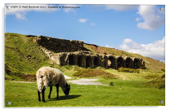 Sheep Grazing Rosedale Yorkshire Moors Acrylic by Pearl Bucknall