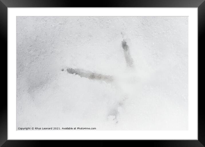 Close up of a birds footprint in deep snow, belongs to a pheasant Framed Mounted Print by Rhys Leonard
