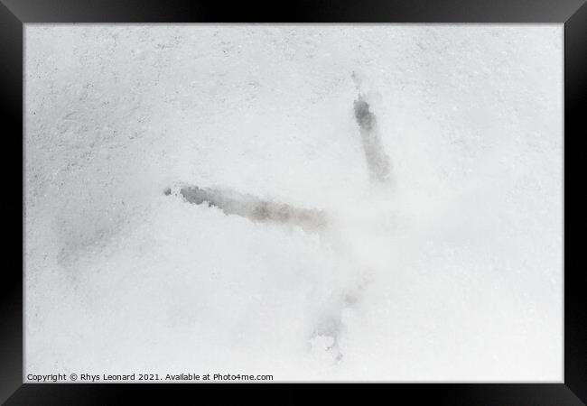 Close up of a birds footprint in deep snow, belongs to a pheasant Framed Print by Rhys Leonard