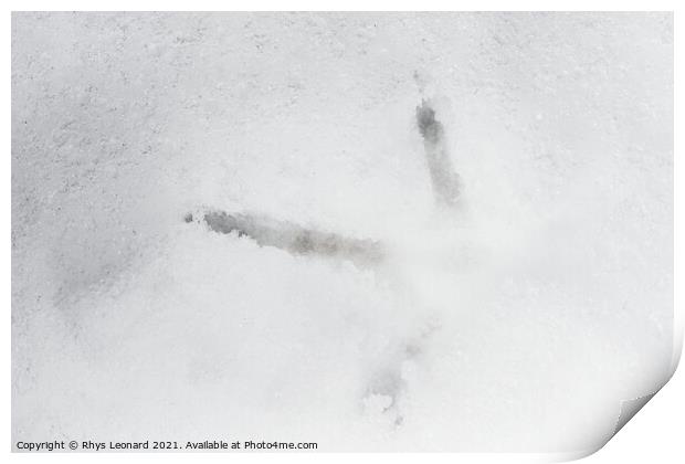 Close up of a birds footprint in deep snow, belongs to a pheasant Print by Rhys Leonard