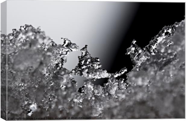 Thawing snow or frost, super macro close up image, Icy winter theme Canvas Print by Rhys Leonard