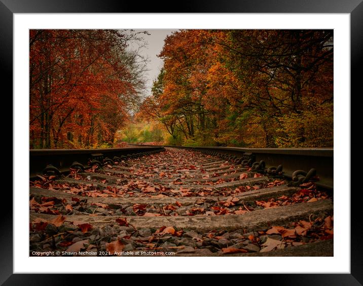 Severn Valley Steam Railway, Autumn trees Framed Mounted Print by Shawn Nicholas