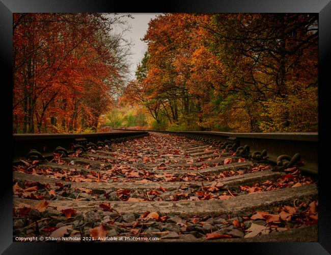 Severn Valley Steam Railway, Autumn trees Framed Print by Shawn Nicholas