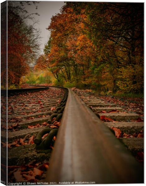 Railway Line, Autumn Trees Canvas Print by Shawn Nicholas
