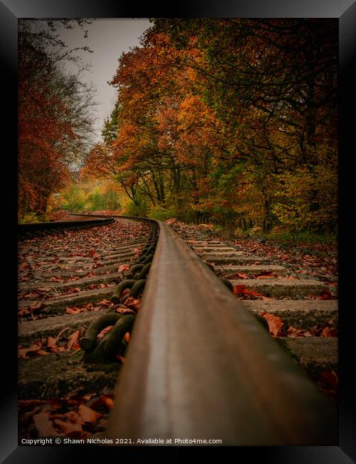 Railway Line, Autumn Trees Framed Print by Shawn Nicholas