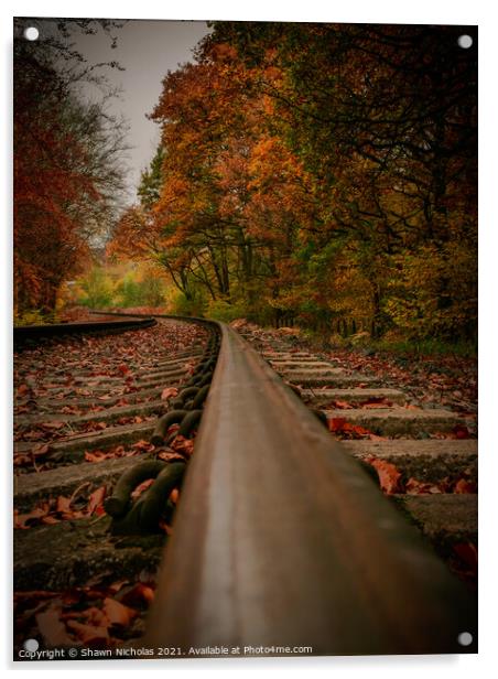 Railway Line, Autumn Trees Acrylic by Shawn Nicholas