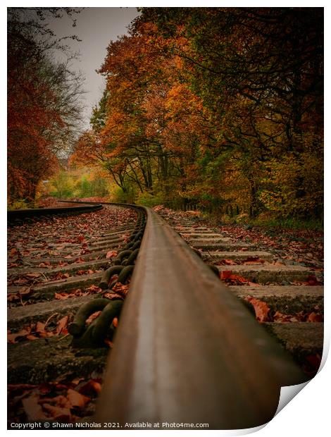 Railway Line, Autumn Trees Print by Shawn Nicholas