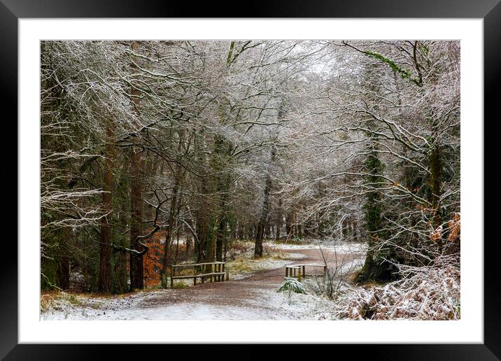 A Winter Walk Framed Mounted Print by David Tinsley