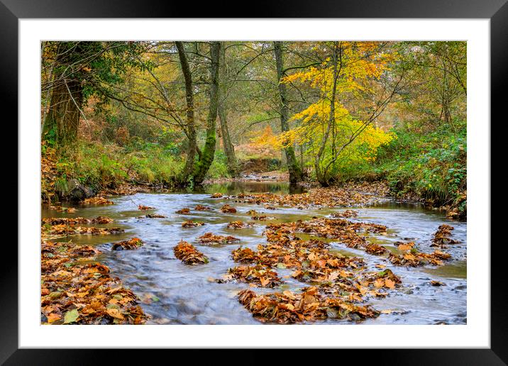 Autumn  Brook Framed Mounted Print by David Tinsley