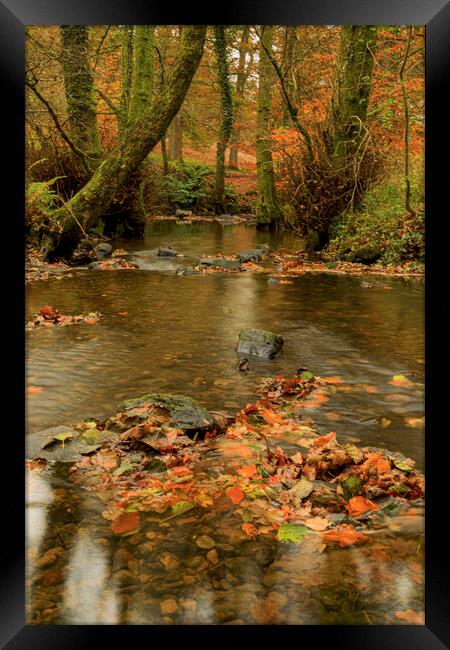 Autumn Reflections Framed Print by David Tinsley