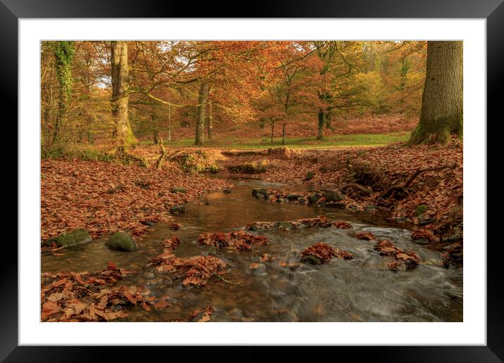 Autumn Brook Framed Mounted Print by David Tinsley