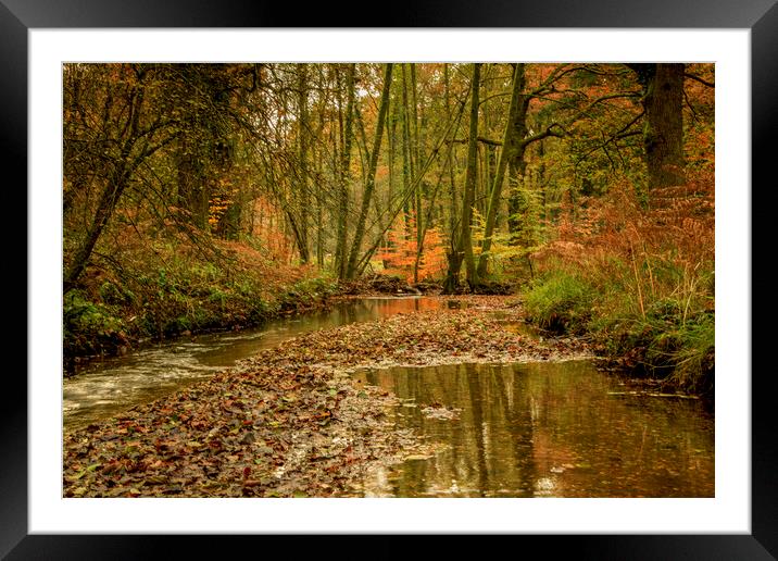 Autumn Reflections Framed Mounted Print by David Tinsley