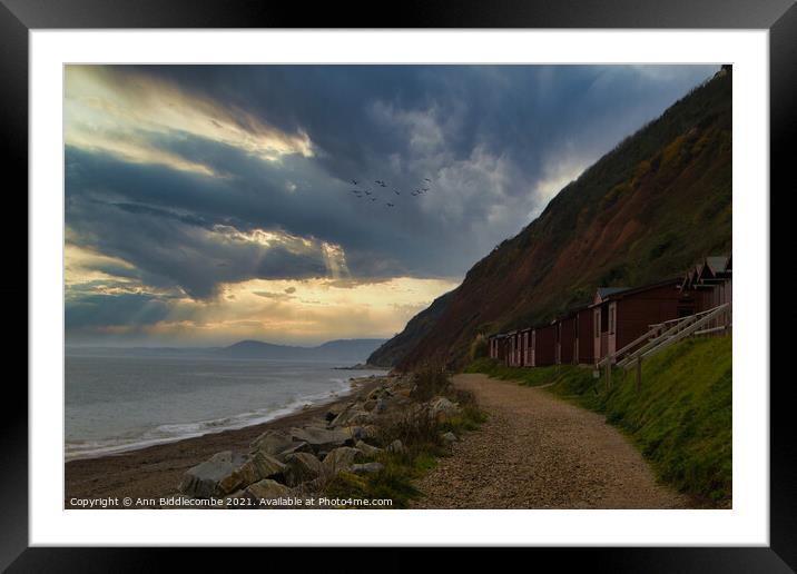 Branscombe beach Framed Mounted Print by Ann Biddlecombe