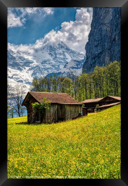 Golden Path to Swiss Alps Framed Print by Roger Mechan