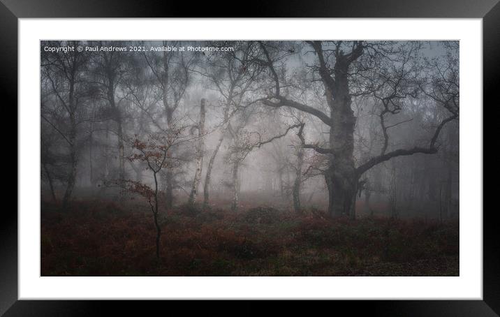 Sherwood Forest Framed Mounted Print by Paul Andrews