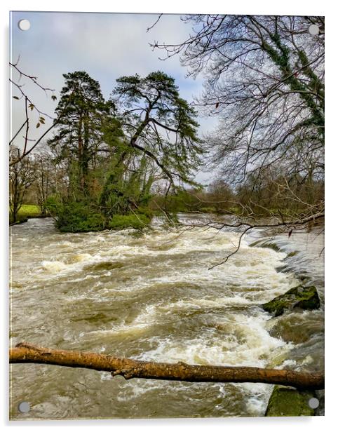 River Teifi Acrylic by Mark Llewellyn