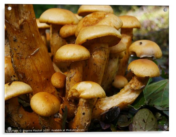 Mushroom Cluster Acrylic by Deanne Flouton